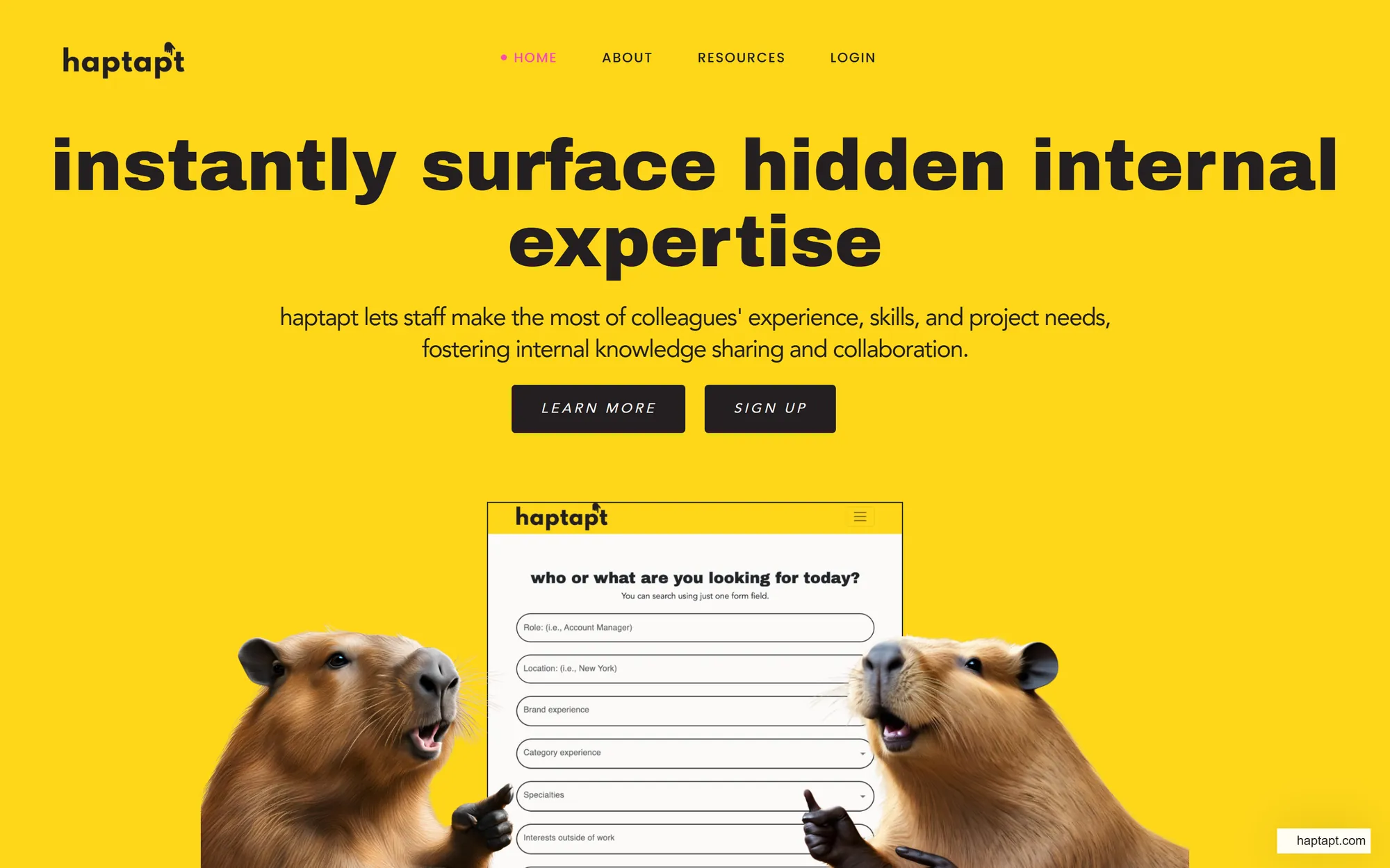 haptapt's home page, showing the app's people search